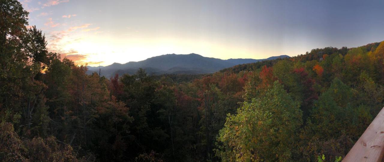 Heavenly View - Bear Themed Cabin, Hottub, Dog-Friendly, Near Гатлінбург Екстер'єр фото
